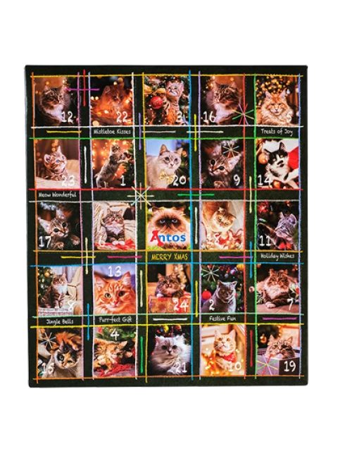 Christmas Advent Calendar 200 gr - Cats