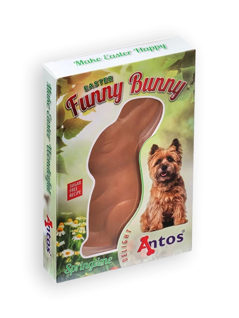 Easter Funny Bunny