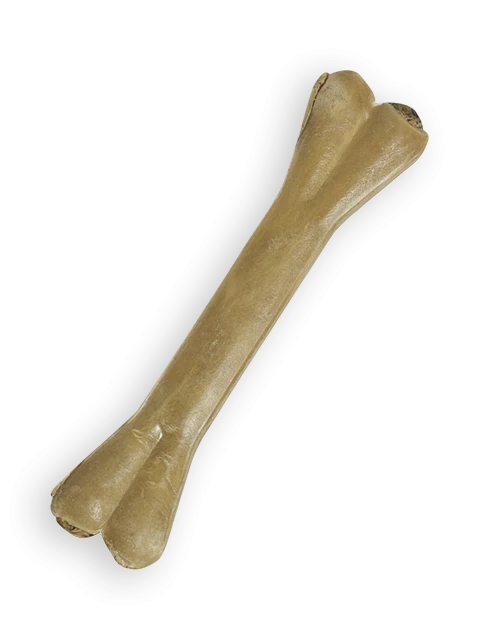 Pressed Bone Pizzle 21 cm 175-185 gr