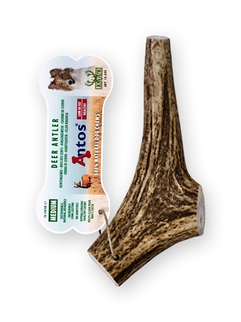 Gourmore Antler Medium 76-150 gr