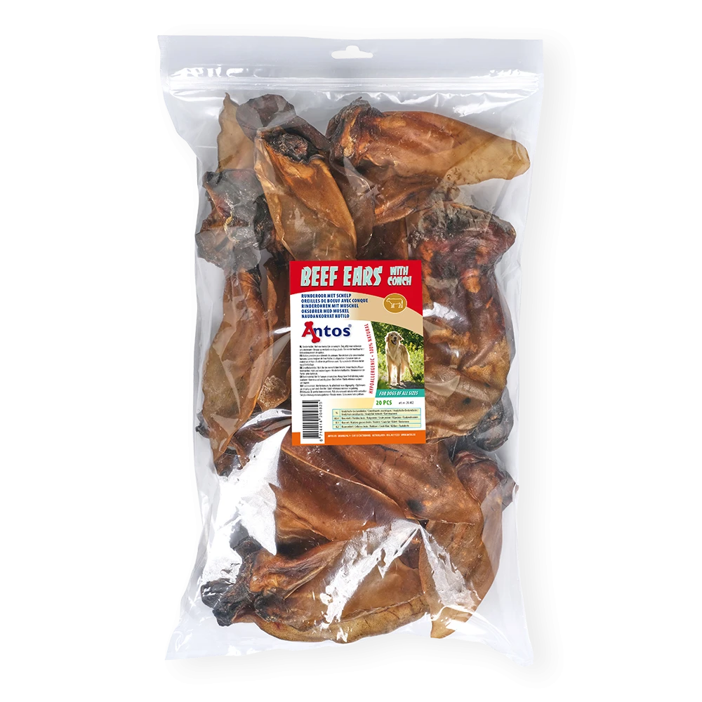 Beef Ears XL with conch 20 pcs