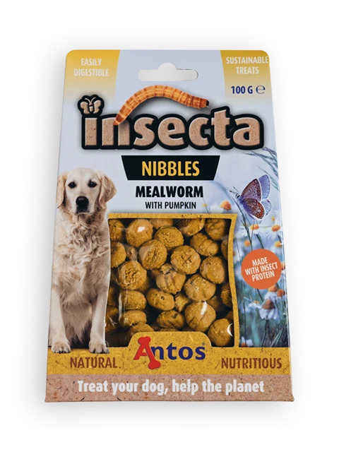 Insecta Nibbles Mealworm & Pumpkin 100 gr