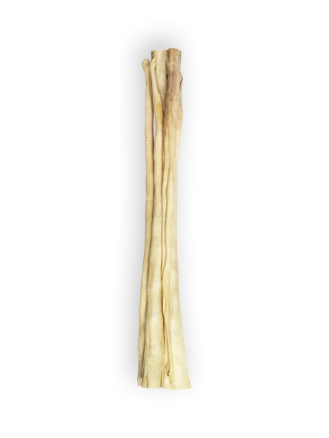 Beef Tail 30 cm