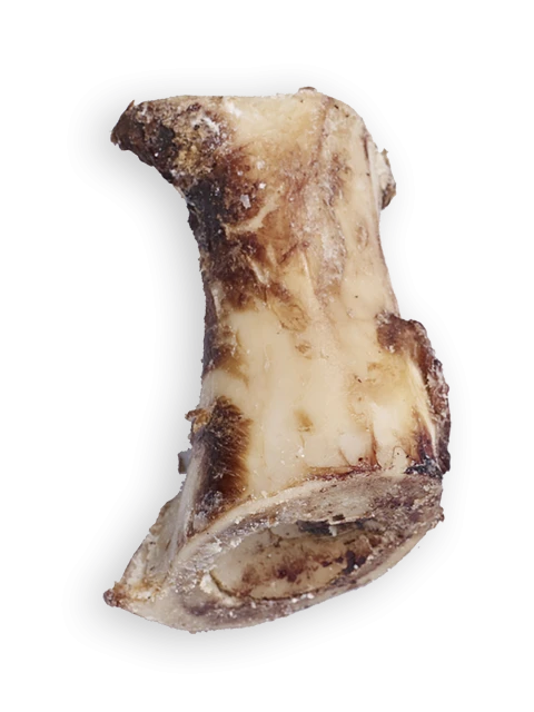 Marrow Bone Half
