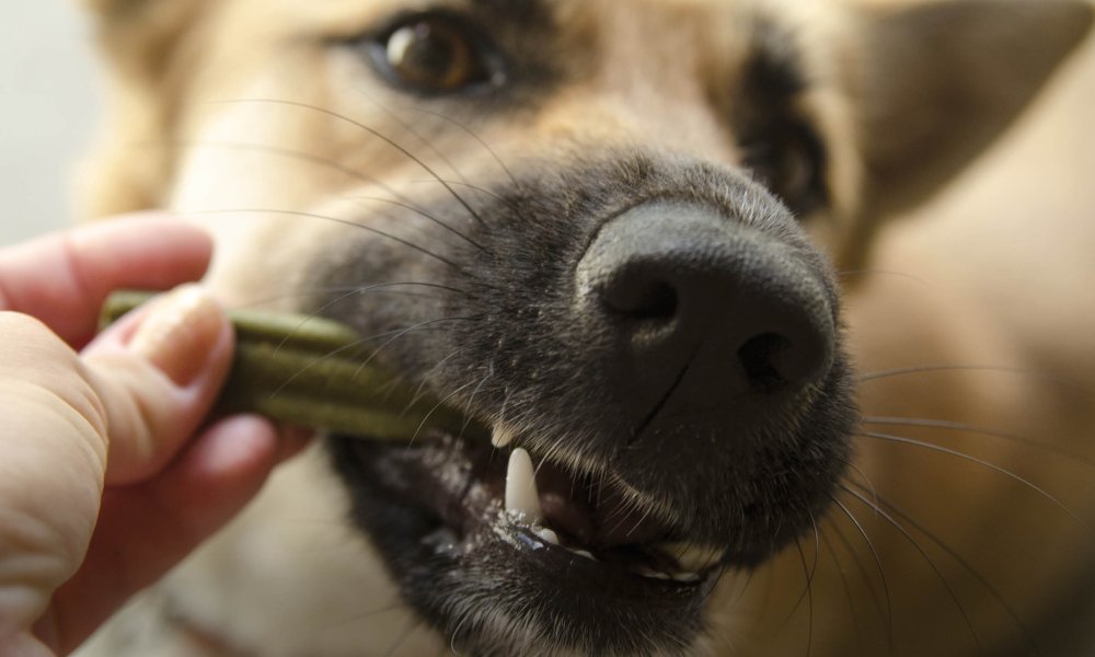 What really works against plaque?