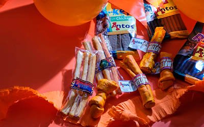 Cheering with orange dog snacks