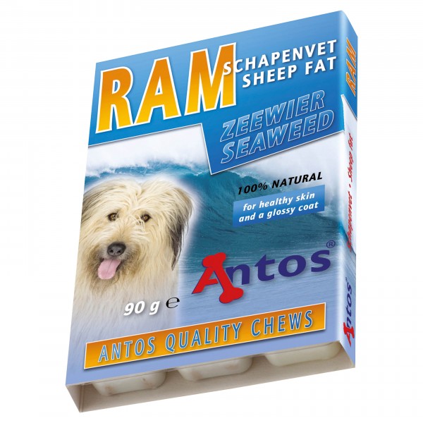 RAM Sheep Fat