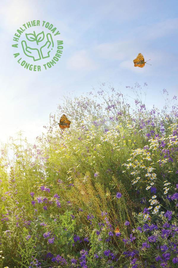 Sustainable lifestyle Sustainable lifestyle