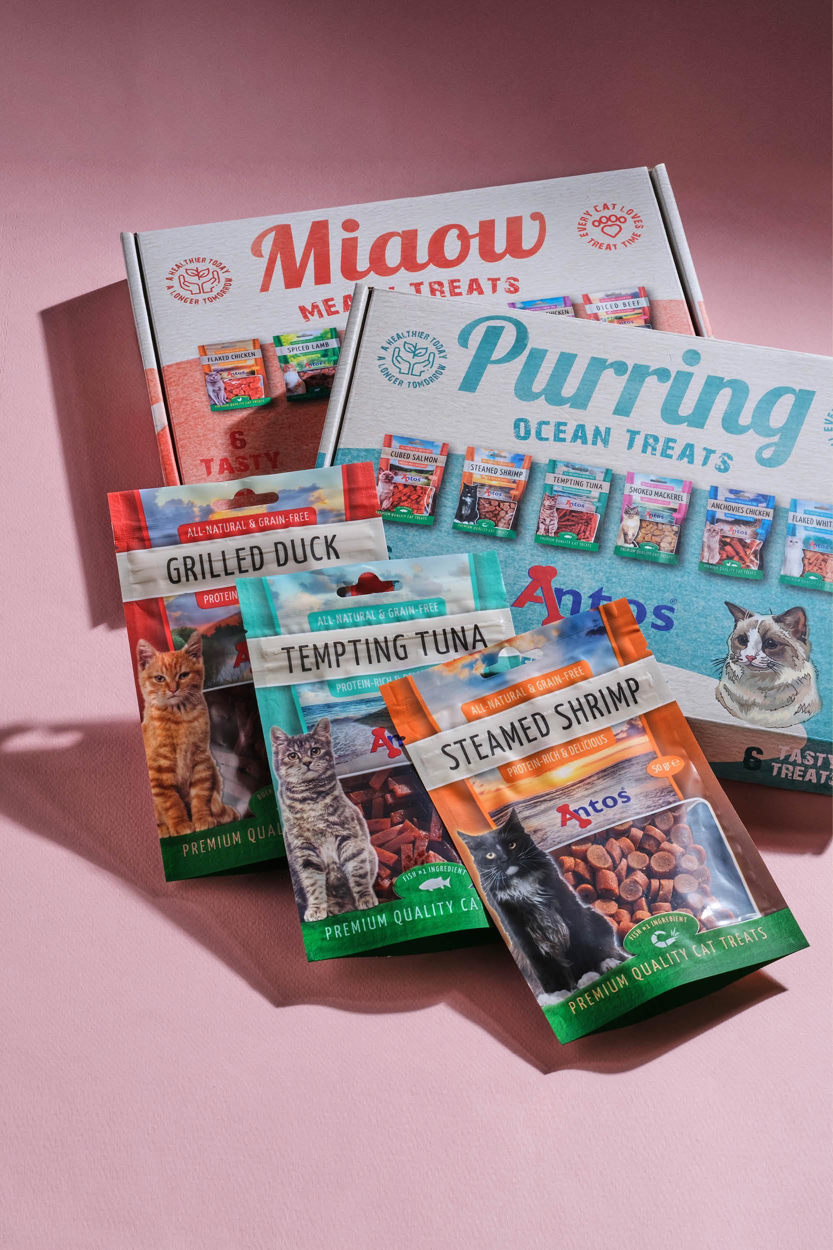 World Animal Day presents for your cat