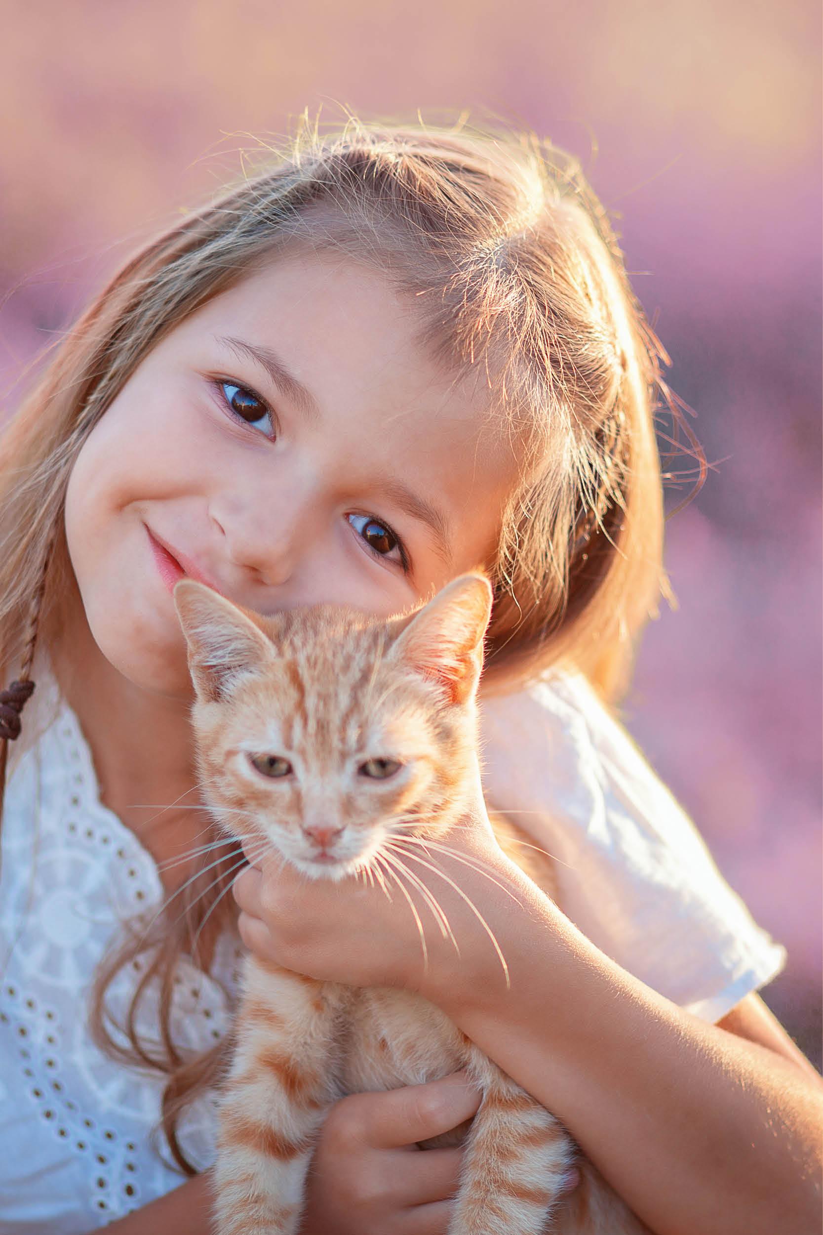 Spoil your cat Spoil your cat