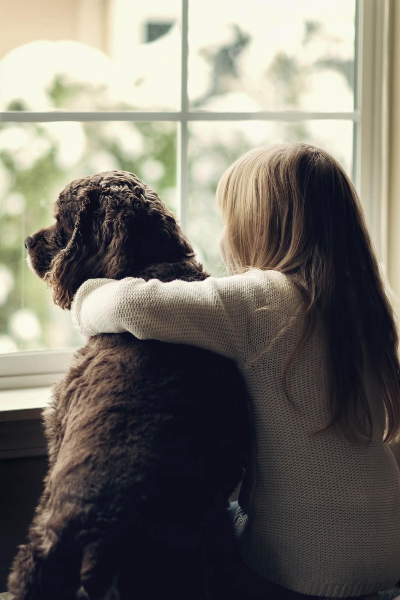 We love dogs We love dogs