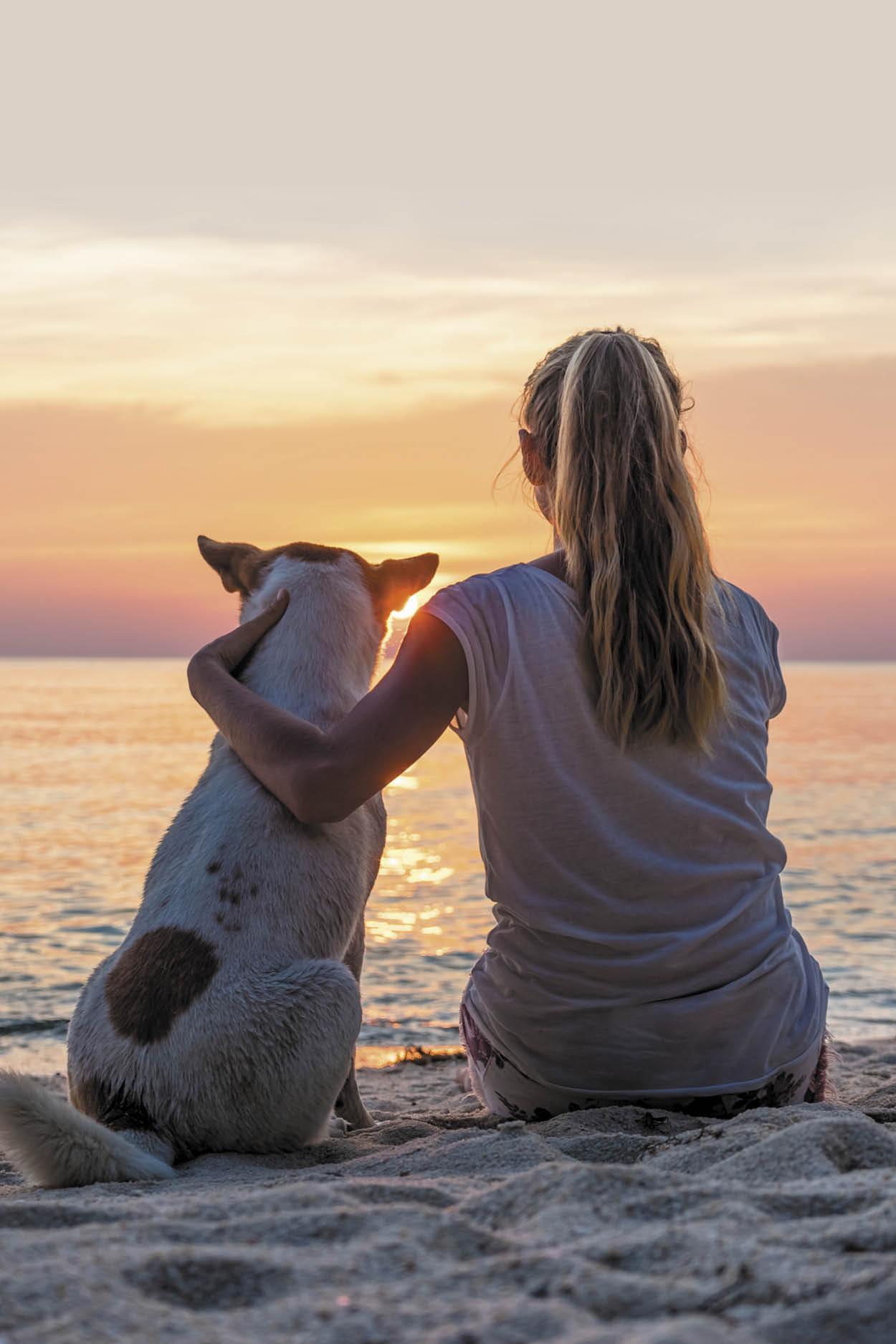 Dogs bring so much joy