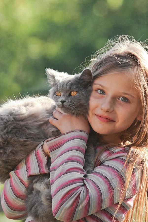 We love cats We love cats