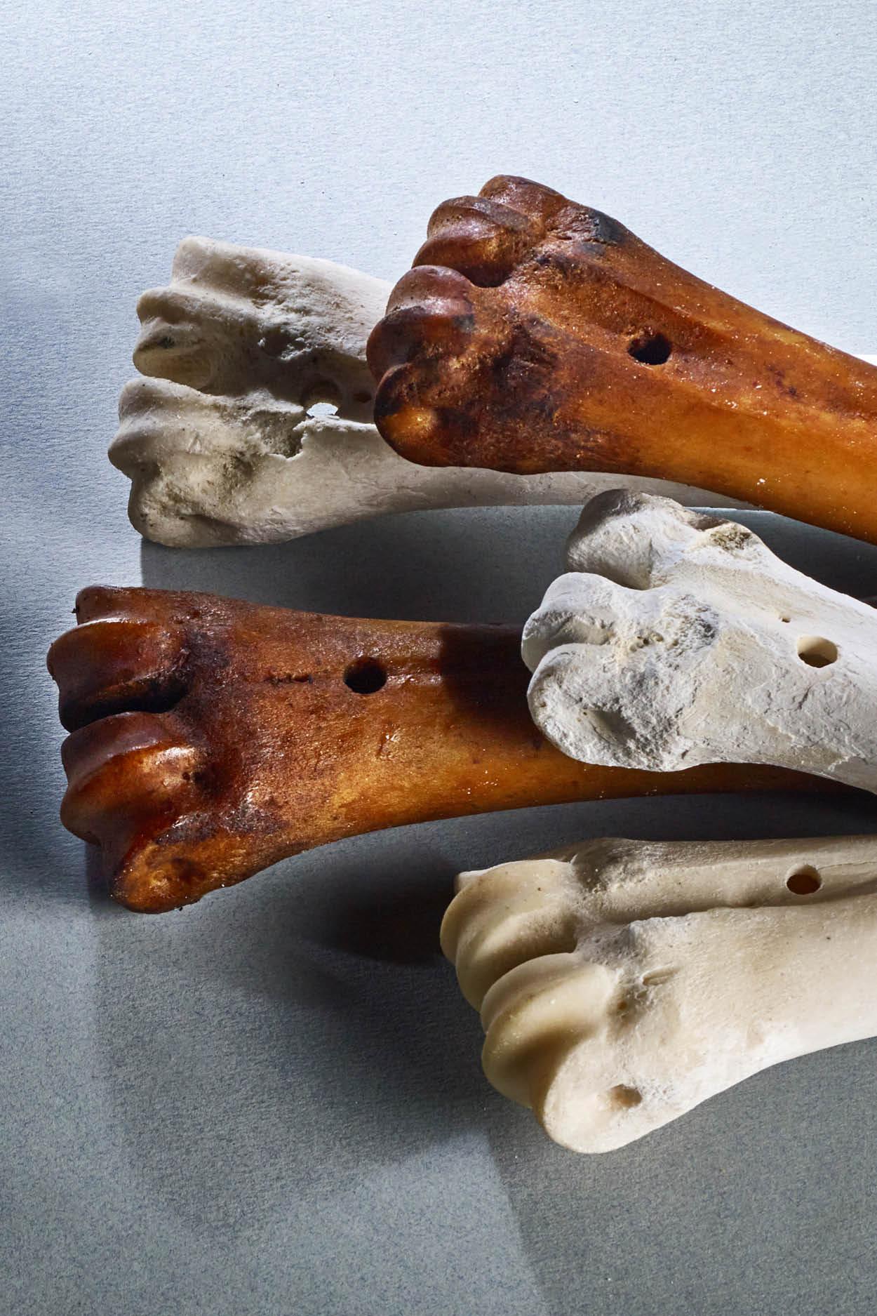 Dog bones Dog bones