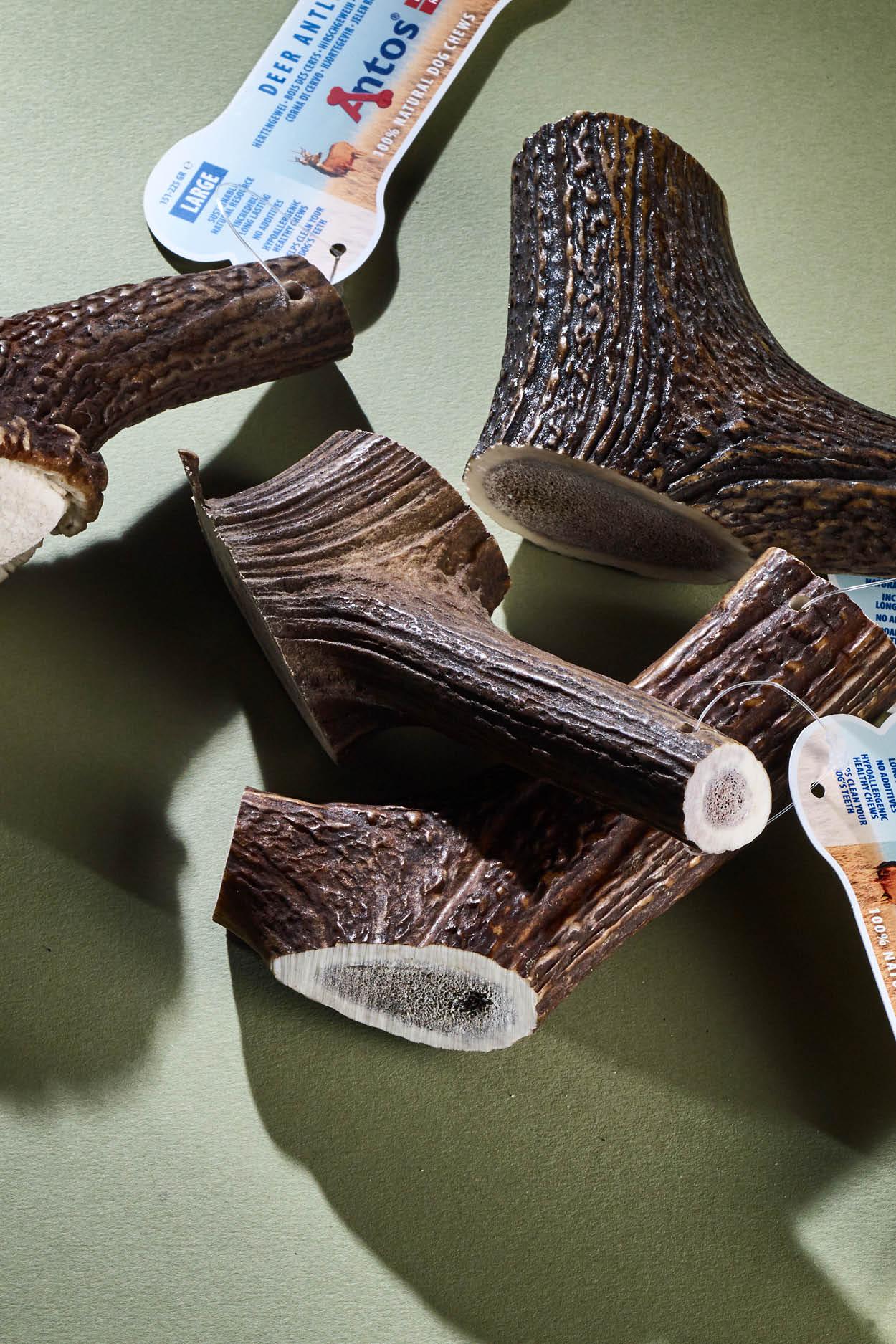 Antler dog bones Antler dog bones