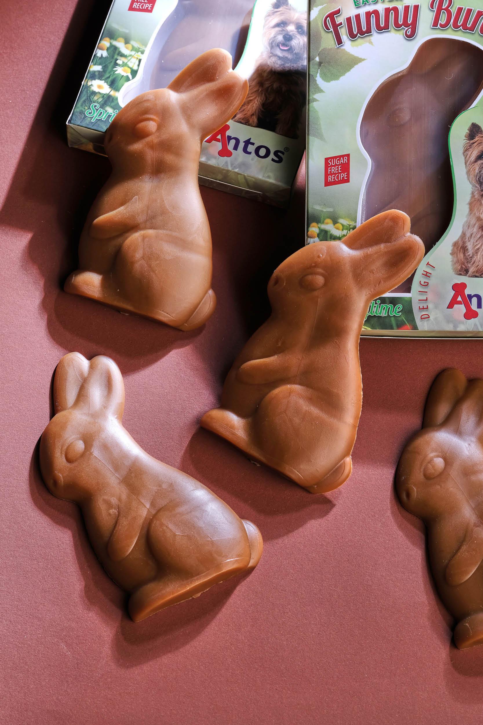 Easter for your dog Easter for your dog