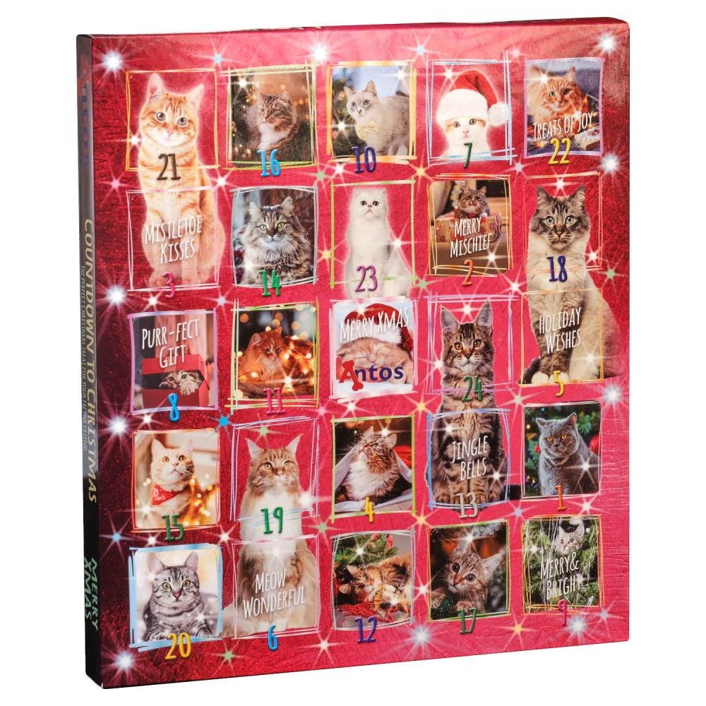 Christmas Advent Calendar 200 gr - Cats