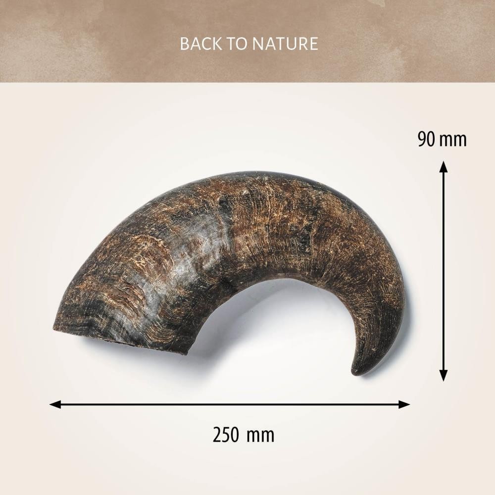 Buffalo Horns 5 kg
