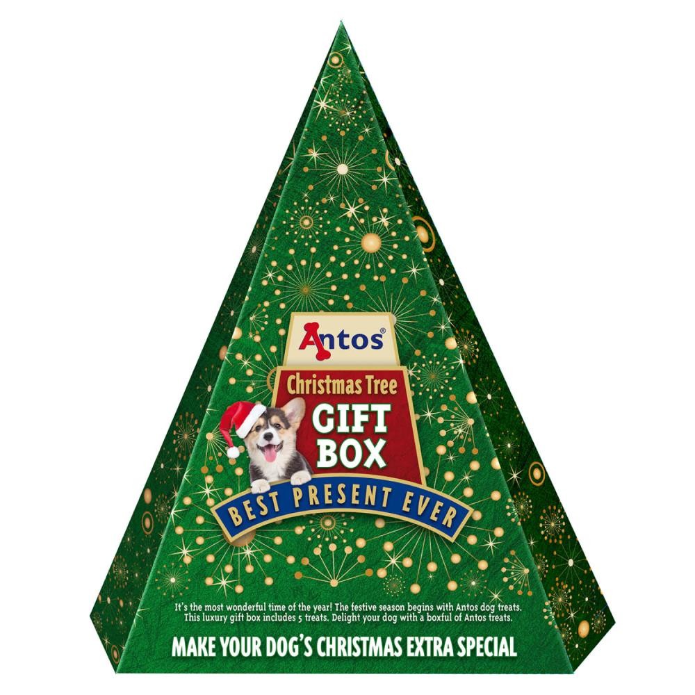Christmas Gift Box