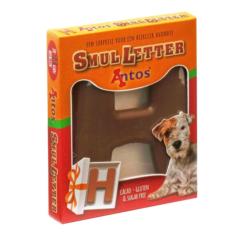 Santa Letter H