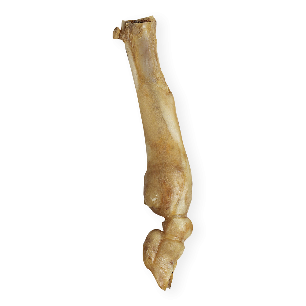 Can you give a dog a lamb online bone