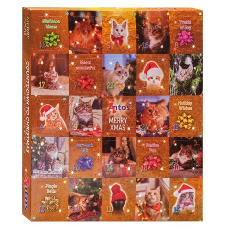 Christmas Advent Calendar 200 gr - Cats