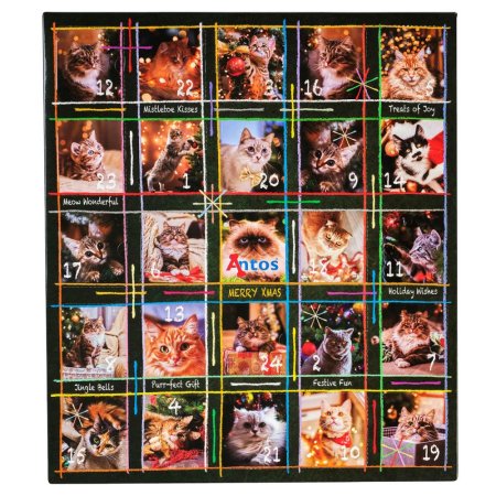 Christmas Advent Calendar 200 gr - Cats