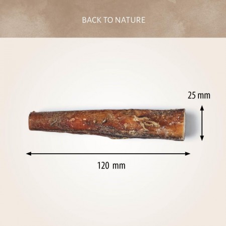 Bull Pizzle 12 cm 10 pcs