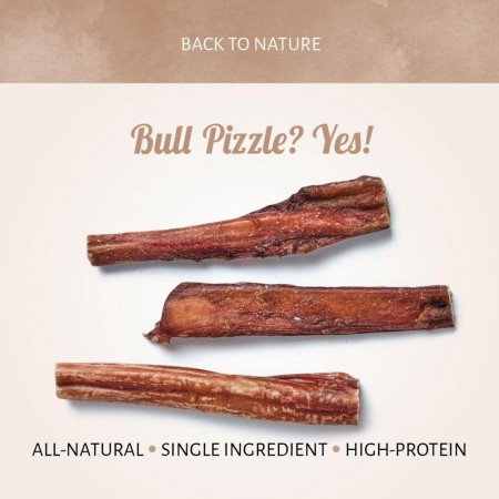 Bull Pizzle 15 cm 10 pcs
