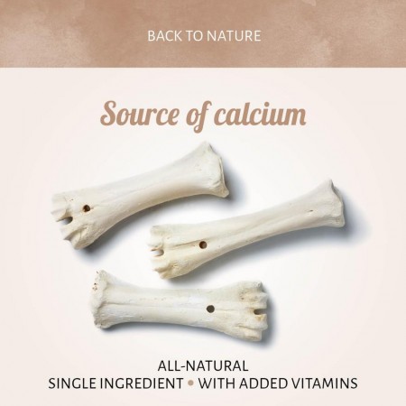 Calcium Bone