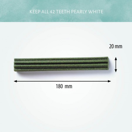 Cerea Eurostar Medium 18 cm Assorted 