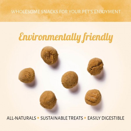 Insecta Nibbles Cricket & Sweet Potato 100 gr