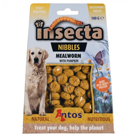 Insecta Nibbles Mealworm & Pumpkin 100 gr