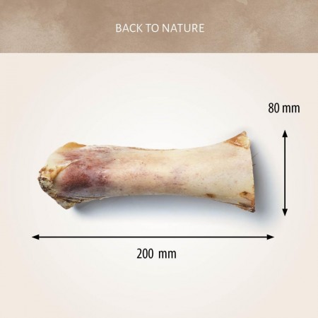 Marrow Bone Large