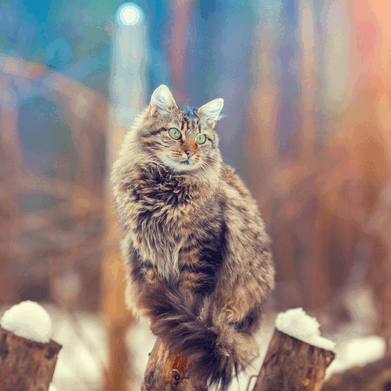 Bring on the fun
Filled with delights