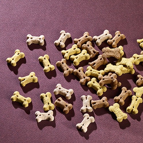 Training Dog Treats