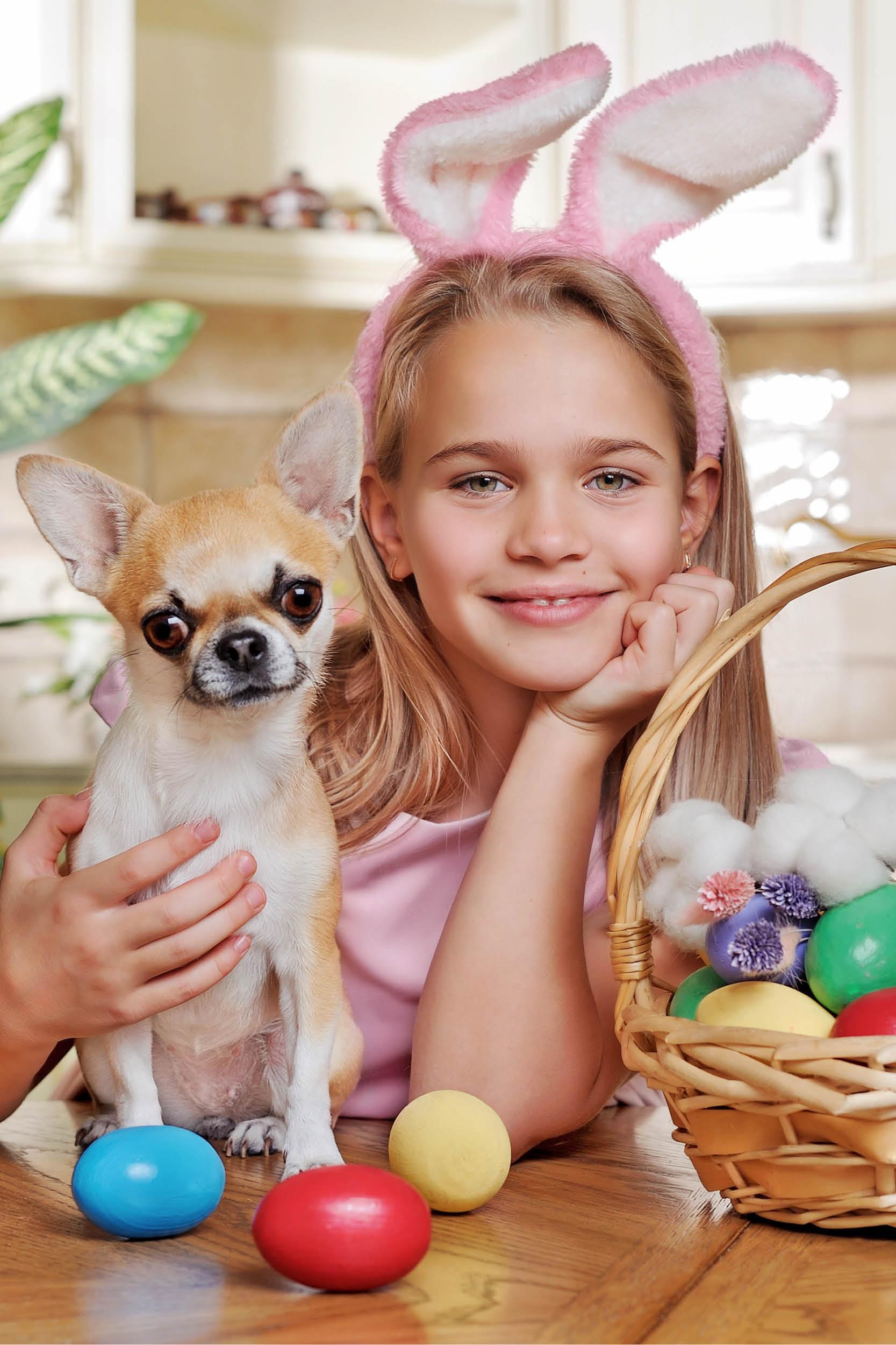 Celebrating Easter with your dog